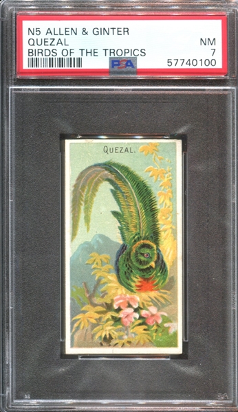 N5 Allen & Ginter Birds of the Tropics Quezal PSA7 NM