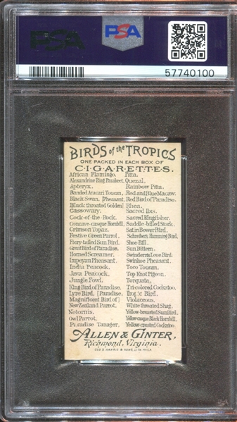 N5 Allen & Ginter Birds of the Tropics Quezal PSA7 NM