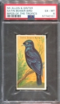 N5 Allen & Ginter Birds of the Tropics "Satin Bower Bird" PSA6 EX-MT