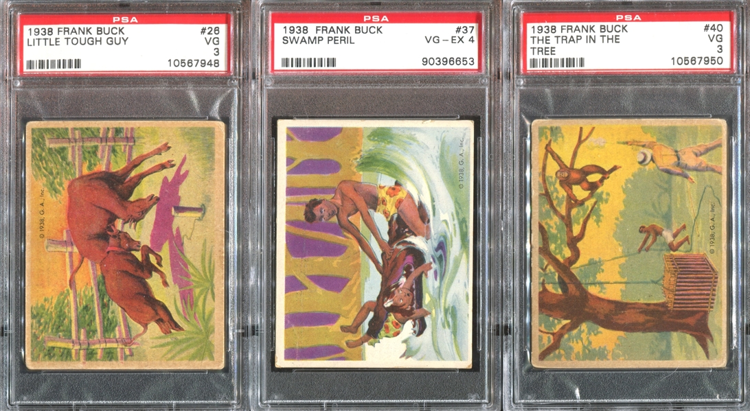 R55 Gumakers Frank Buck Lot of (3) PSA-Graded Cards