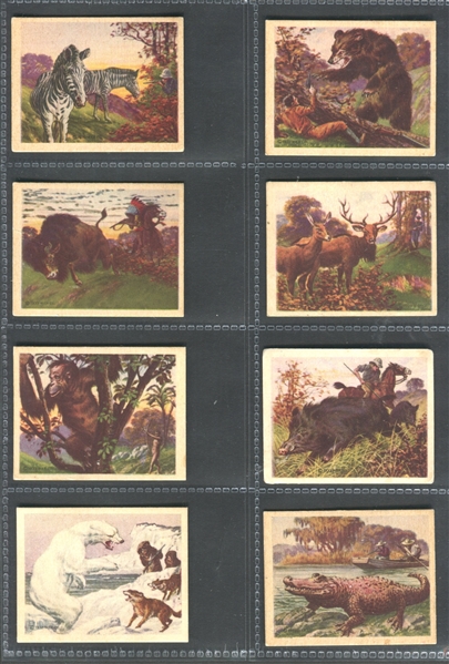 R71 Planters Hunted Animals Near Set of (22/25) Cards