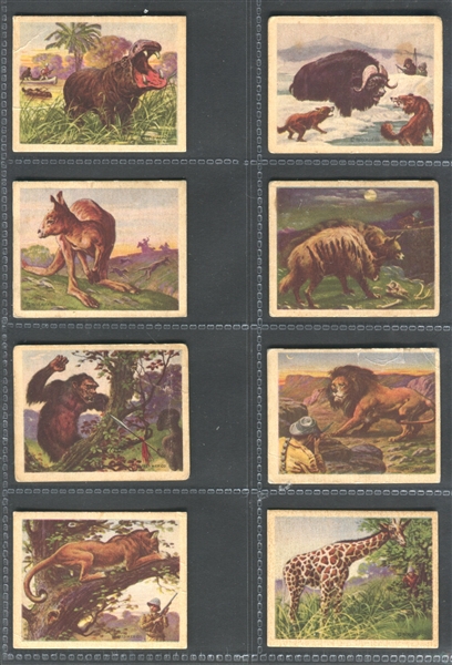 R71 Planters Hunted Animals Near Set of (22/25) Cards