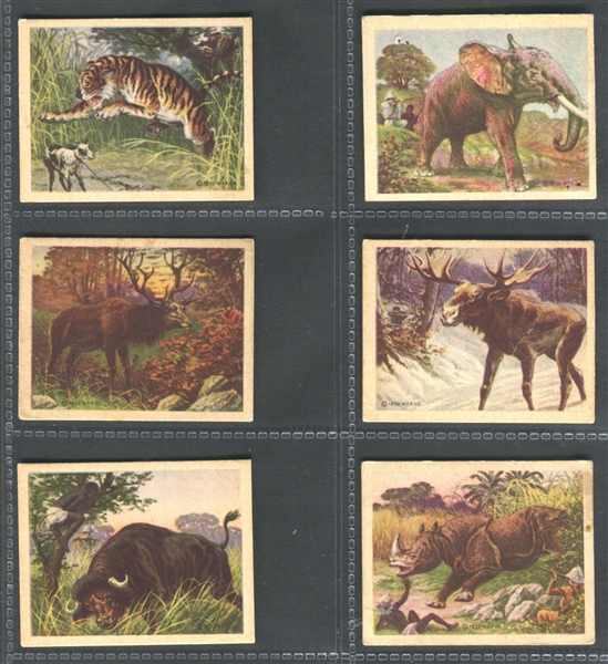 R71 Planters Hunted Animals Near Set of (22/25) Cards