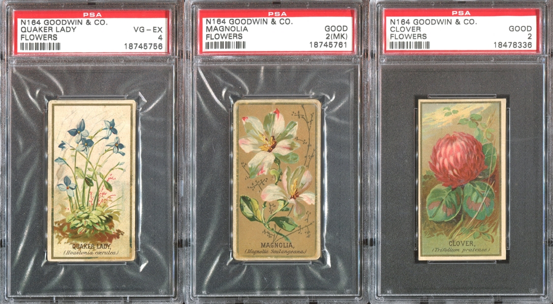 N164 Goodwin Old Judge Flowers Lot of (6) PSA-Graded Cards