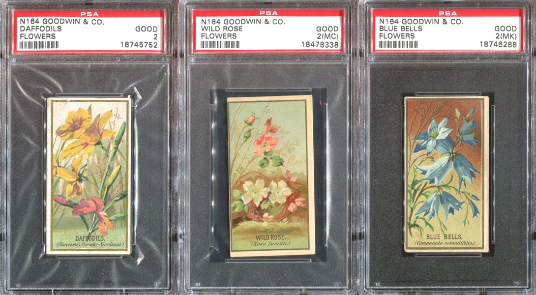 N164 Goodwin Old Judge Flowers Lot of (6) PSA-Graded Cards