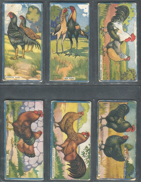 V12 Cowan Chocolates Chicken Cards Near Set of (21/24) Cards