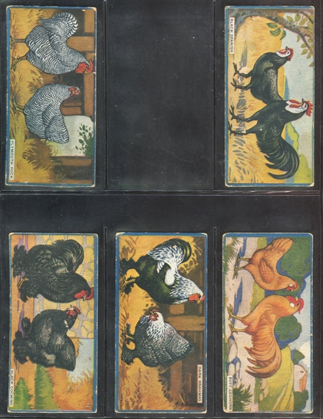 V12 Cowan Chocolates Chicken Cards Near Set of (21/24) Cards