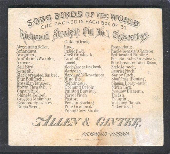 N42 Allen & Ginter Song Birds of the World Parrot Finch