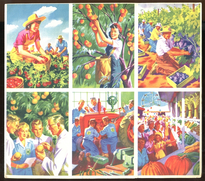 F213-8A Coca Cola Our America : Agriculture Complete (20) Card Set on Uncut Sheet