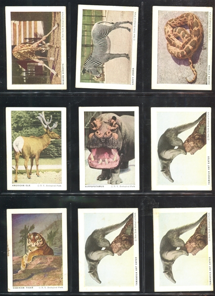 F55 Frostick Animal Cards Lot of (18) Cards