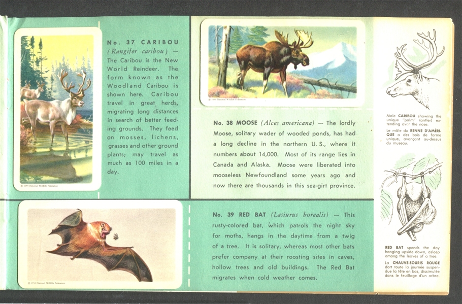 FC34-3 Brooke Bond Animals of North America Complete Set of (48) In Album