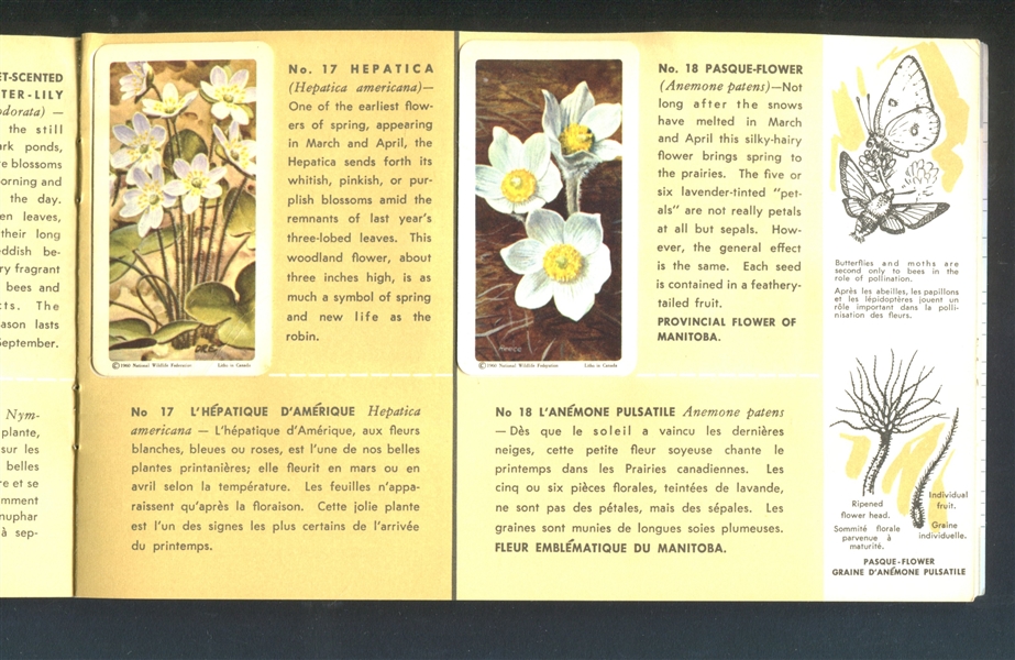 FC34-4 Brooke Bond Wild Flowers of North America Complete Set of (48) Cards in Album with Order Form