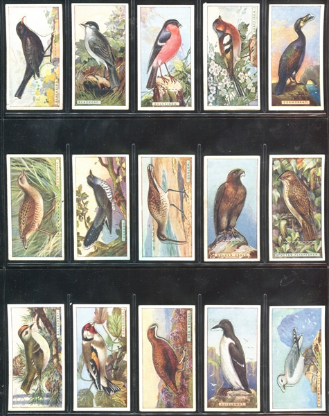 C4 Imperial Tobacco British Birds Complete Set of (50) Die Cut Cards