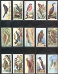 C4 Imperial Tobacco British Birds Complete Set of (50) Die Cut Cards