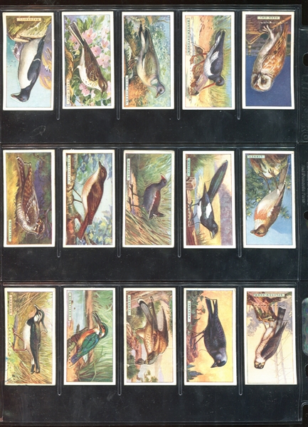 C4 Imperial Tobacco British Birds Complete Set of (50) Die Cut Cards