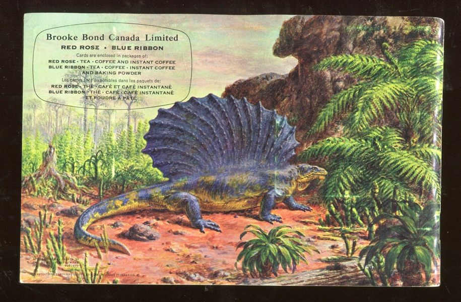 FC34-6 Brooke Bond Dinosaurs Complete Set of (48) Cards in Album