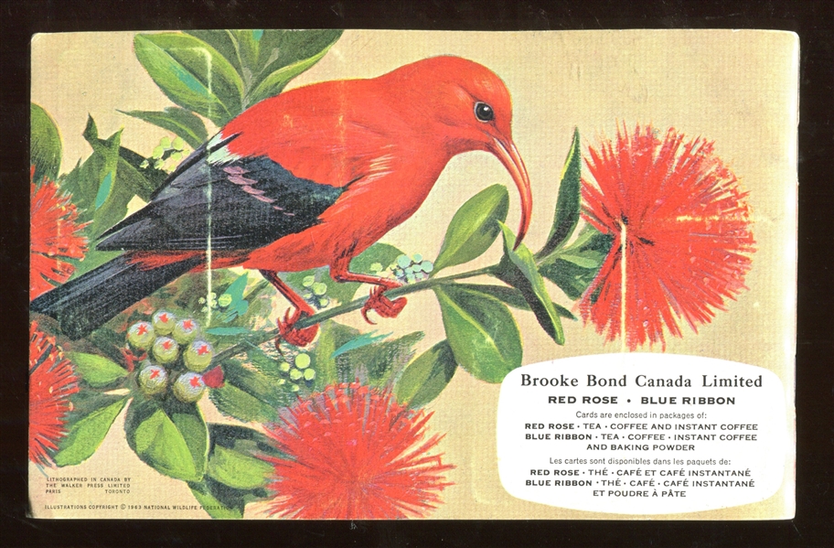 FC34-8 Brooke Bond Tropical Birds Complete Set of (48) Cards in Album