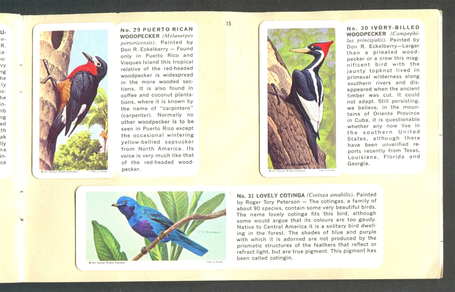 FC34-8 Brooke Bond Tropical Birds Complete Set of (48) Cards in Album