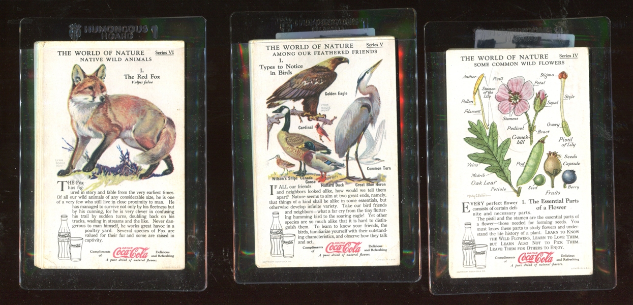 F213-3 Coca Cola Nature Studies Lot of (8) Complete Sets Totaling (96) Cards