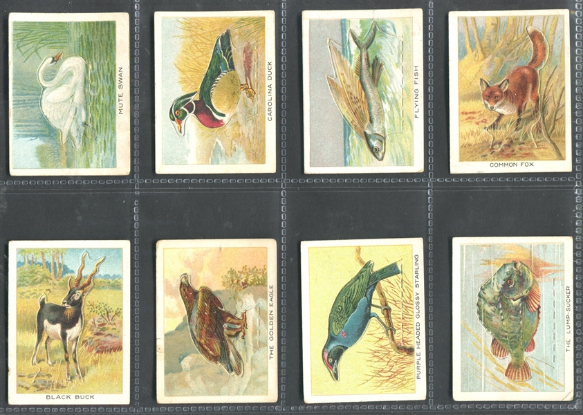 C1 Imperial Tobacco Birds, Beasts and Fishes Complete Set of (50) Cards