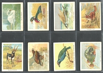 C1 Imperial Tobacco Birds, Beasts and Fishes Complete Set of (50) Cards