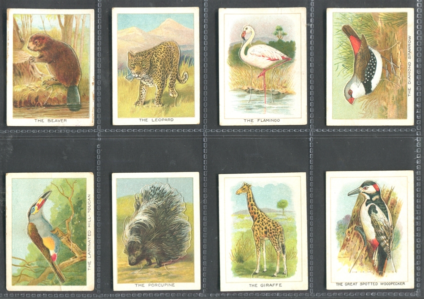 C1 Imperial Tobacco Birds, Beasts and Fishes Complete Set of (50) Cards