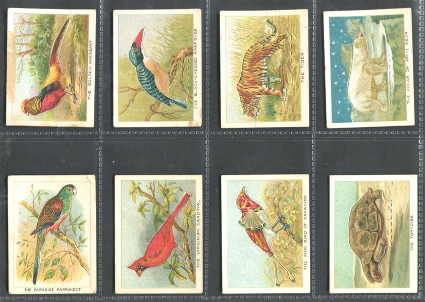 C1 Imperial Tobacco Birds, Beasts and Fishes Complete Set of (50) Cards