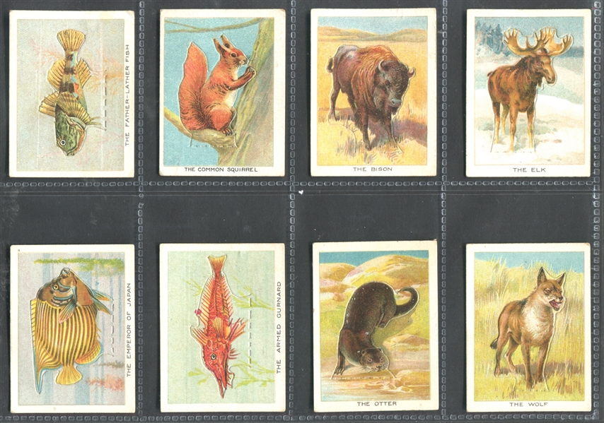 C1 Imperial Tobacco Birds, Beasts and Fishes Complete Set of (50) Cards