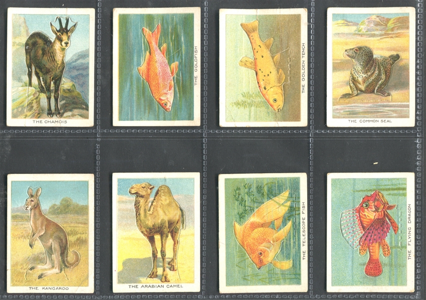 C1 Imperial Tobacco Birds, Beasts and Fishes Complete Set of (50) Cards