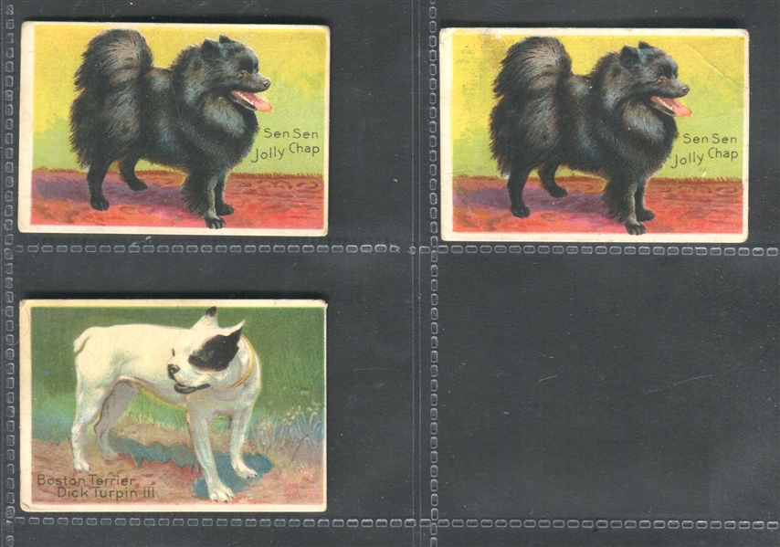 T96 Prize Dog Lot of (3) Cards