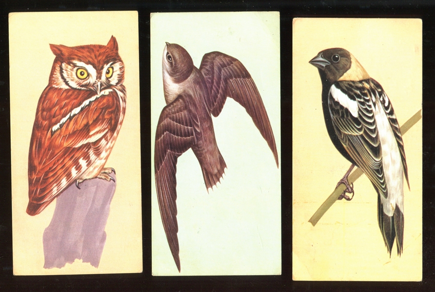 1962 Gelles Widmer Lot of (8) Bird Cards