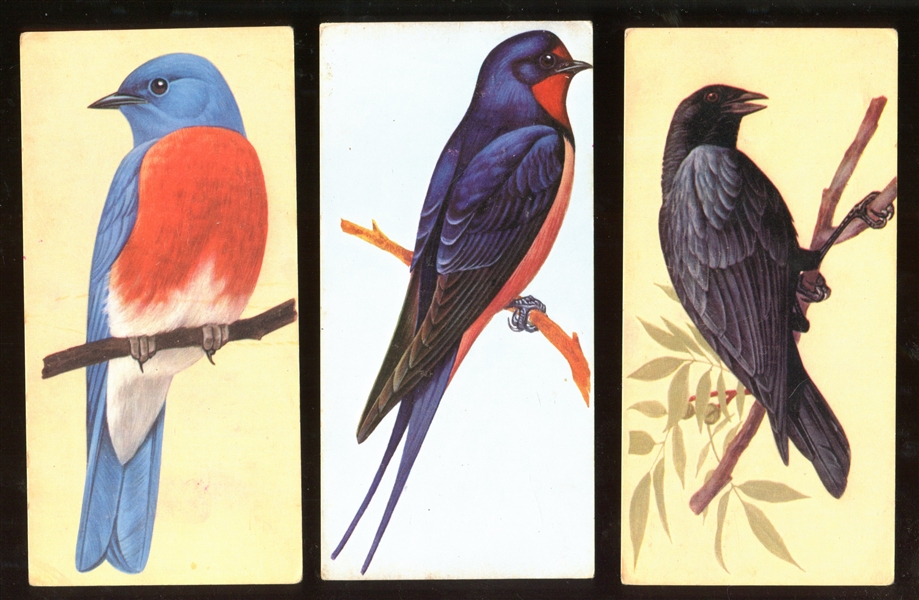 1962 Gelles Widmer Lot of (8) Bird Cards