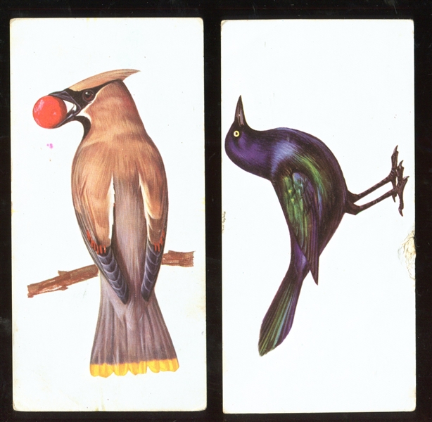 1962 Gelles Widmer Lot of (8) Bird Cards