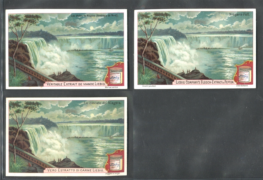 1899 Liebig Niagara Falls French, Italian & German Type Lot