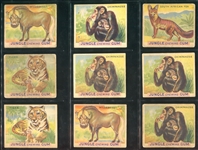 R78 Goudey Jungle Gum Lot of (53) Cards