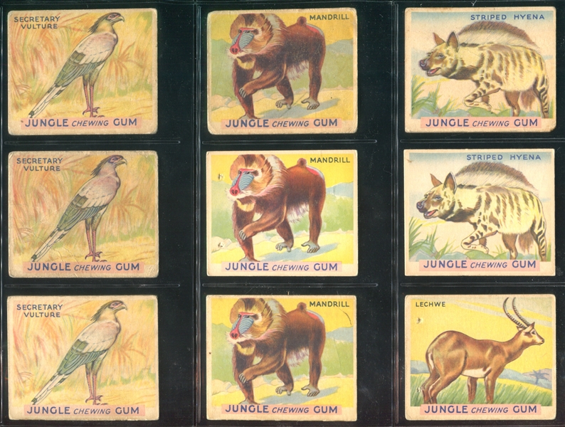 R78 Goudey Jungle Gum Lot of (53) Cards