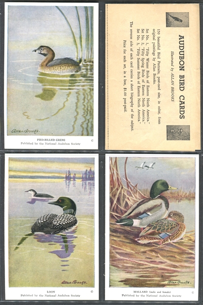 Fantastic Audubon Society Spring Birds Complete Set of (50) With Advertising Flyer