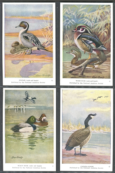 Fantastic Audubon Society Spring Birds Complete Set of (50) With Advertising Flyer