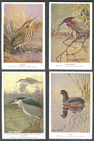 Fantastic Audubon Society Spring Birds Complete Set of (50) With Advertising Flyer