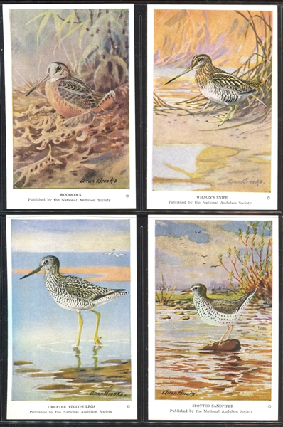 Fantastic Audubon Society Spring Birds Complete Set of (50) With Advertising Flyer