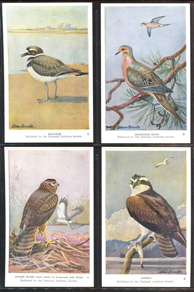 Fantastic Audubon Society Spring Birds Complete Set of (50) With Advertising Flyer