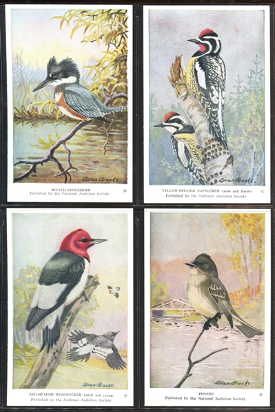 Fantastic Audubon Society Spring Birds Complete Set of (50) With Advertising Flyer