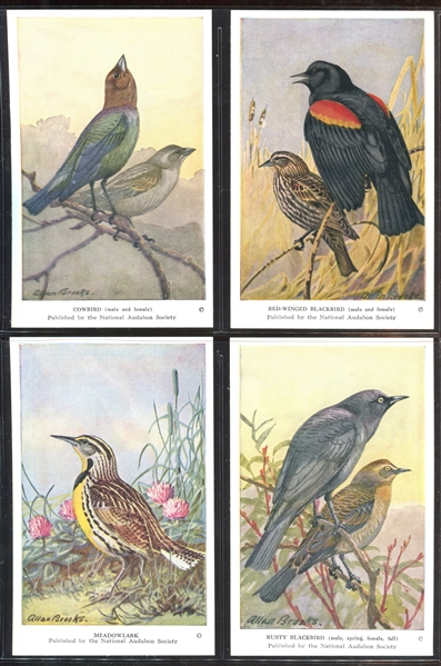 Fantastic Audubon Society Spring Birds Complete Set of (50) With Advertising Flyer