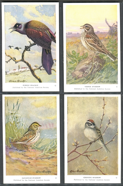 Fantastic Audubon Society Spring Birds Complete Set of (50) With Advertising Flyer