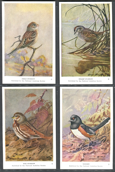 Fantastic Audubon Society Spring Birds Complete Set of (50) With Advertising Flyer