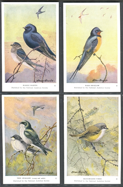 Fantastic Audubon Society Spring Birds Complete Set of (50) With Advertising Flyer