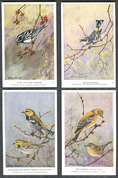 Fantastic Audubon Society Spring Birds Complete Set of (50) With Advertising Flyer