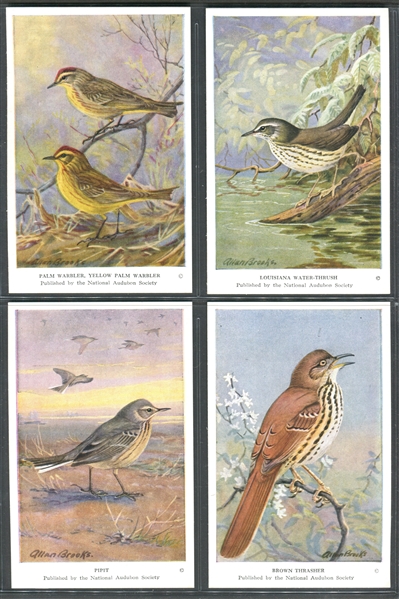 Fantastic Audubon Society Spring Birds Complete Set of (50) With Advertising Flyer