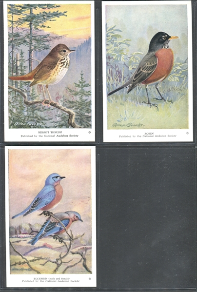 Fantastic Audubon Society Spring Birds Complete Set of (50) With Advertising Flyer