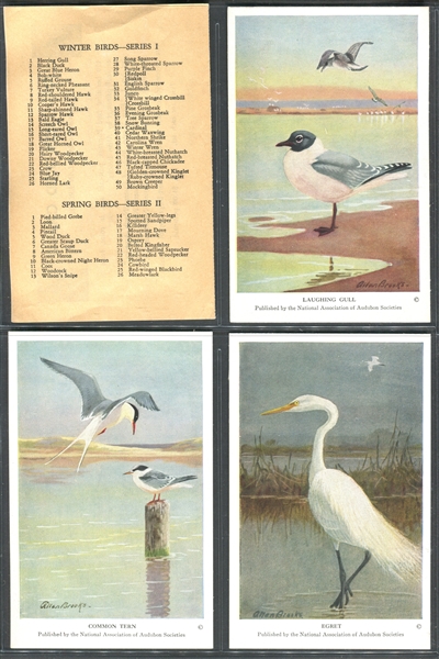 Fantastic Audubon Society Summer Birds Complete Set of (50) With Advertising Flyer